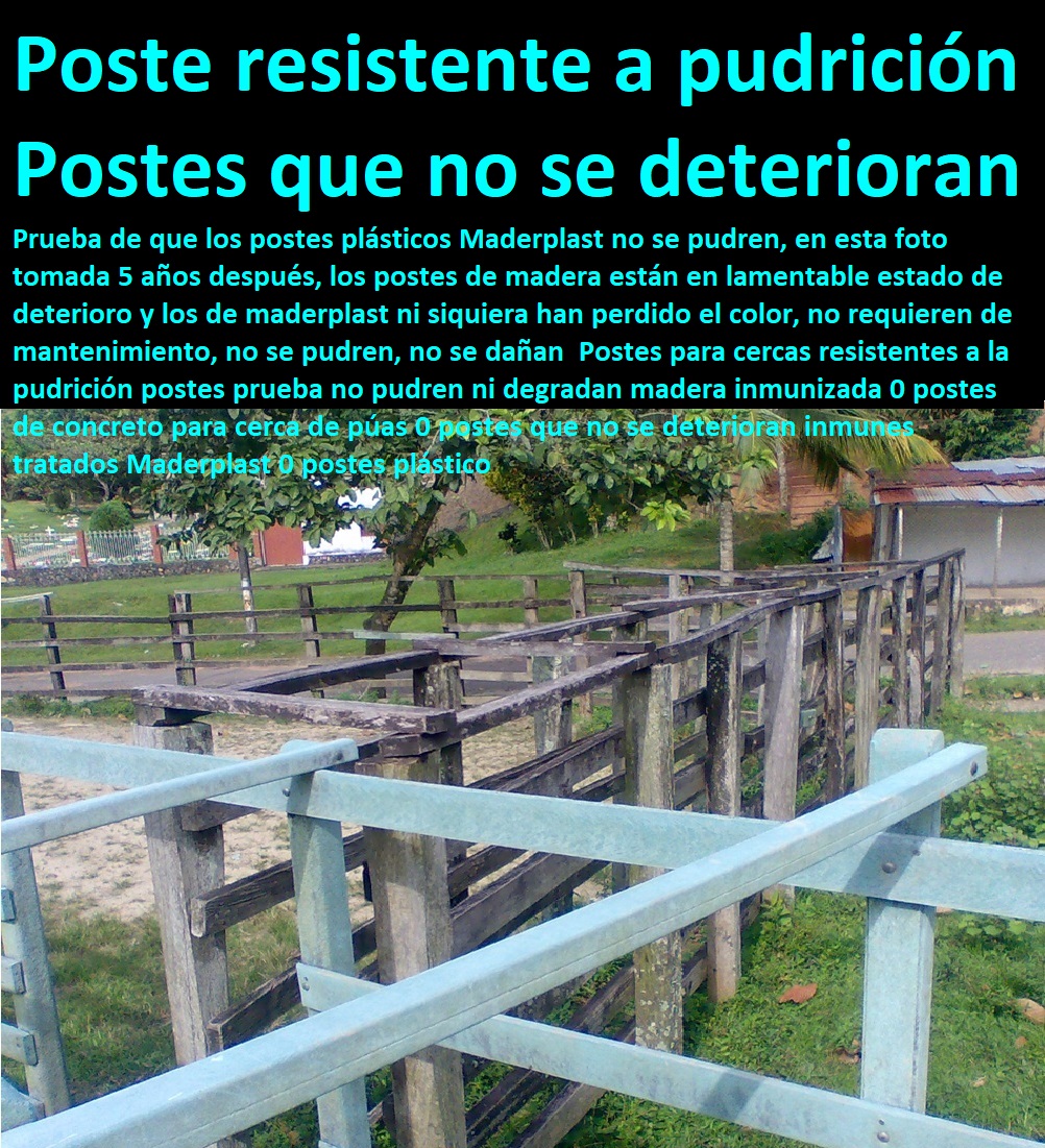 Corrales De Postes Tablas Horcones De Buena Calidad larga vida útil fuertes y durables 0 embarcadero para ganado medidas 0 diseños de corrales para ganado vacuno 0 Corral Caballerizas, Pesebreras De Caballos, Plaza Toros, Brete Ganadero, Apretaderos Embarcaderos, Postes Tablas, Polines Varetas, Mangas De Coleo, Horcones Madera Plástica, Corrales, Establos De Ganado, Mangas De Coleo, construcción de bretes para ganado vacuno partes de corral fuertes Corrales De Postes Tablas Horcones De Buena Calidad larga vida útil fuertes y durables 0 embarcadero para ganado medidas 0 diseños de corrales para ganado vacuno 0 construcción de bretes para ganado vacuno partes de corral fuertes